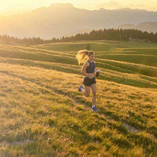 Anleitung-nach-lauf-wiederherstellung