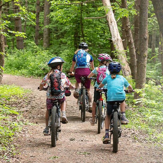 ratgeber-tipps-für-kinder-auf-mountainbikes zu kommen